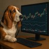 BassetMann profil fotoğrafı
