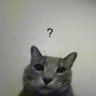 Cat's profile picture