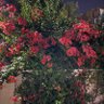 Фото профиля Khaled Salem