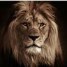 Raj Kumar Joshi's profile picture