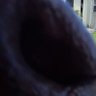 yokai profil fotoğrafı