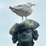 Sea_Gull 的头像