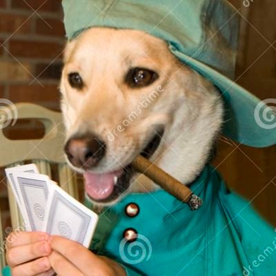 Tragaperro's profile picture