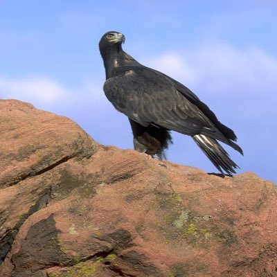 alkhad3_95's profile picture