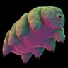 Bargo Lyr profil fotoğrafı