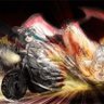 Фото профиля ユカリ