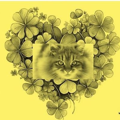 bouzas_cris's profile picture