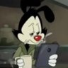 Profilbild von j