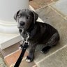 Luke Remy profil fotoğrafı
