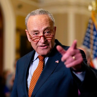 Chuck Schumer's profile picture