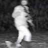 Kwisatschadarak's profile picture
