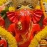 Фото профиля Vandana Dubey