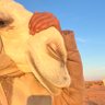 Фото профиля محفُوظ السلامه