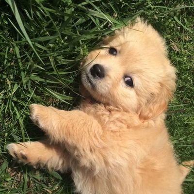 ouokke_688's profile picture