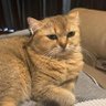 Фото профиля P○○n○i🖇️🥐🌤️(แอคจะขิตแล้ว ขอพักแอคชั่วคราว)