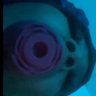 laynnn's profile picture