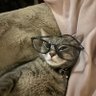 LemonTreeCapital's profile picture