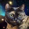 ひこにゃん(アンディ) profil fotoğrafı