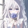 violet 的头像