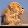 Ajay Tyagi's profile picture