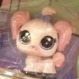 택둥e's profile picture