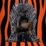 Profilbild von BigCat 🐅