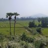 Nirmal Biswal's profile picture