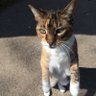 DaisyEmily's profile picture