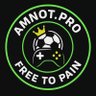 amnot.pro 的头像
