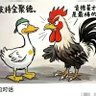 davidbreeze 的头像