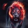 शेरा भाई profil fotoğrafı