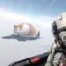 Фото профиля Cat Reese