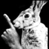 AyeX🐰's profile picture