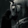 Profilbild von WHITE HOUSE KN. GCFR. ๐ต