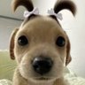 ริชาร์ด's profile picture