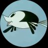 واتو واتو's profile picture