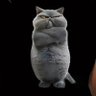TUGSIMP's profile picture