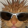 isabella again's profile picture