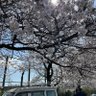 みずき's profile picture