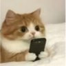Profilbild von in my feeling