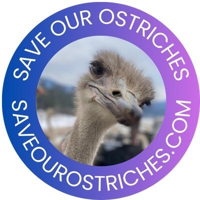 Save Our Ostriches call 250-870-8246's profile picture