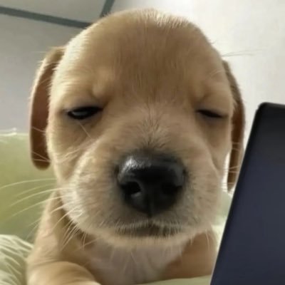 luv (◜◡◝.)'s profile picture