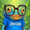 Joe Cool 🐸 profil fotoğrafı