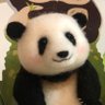 ちーじー🐼🌼's profile picture