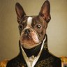 Фото профиля David Therope