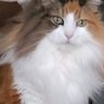 たくけん 的头像