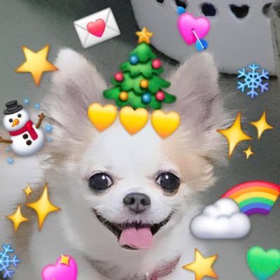 พิลุ้ง ซอ's profile picture