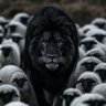 Фото профиля فراس الهلالي