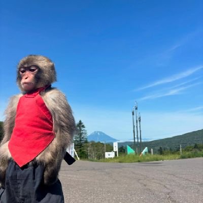 seankizzy🌿❄️'s profile picture