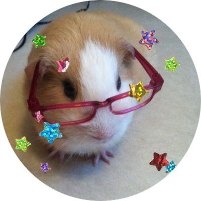 현구's profile picture